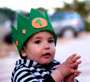 IMG 3623-1-e1485727988757